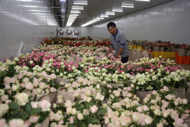 廣東先進製冷設備：鮮花冷庫機組價格解析